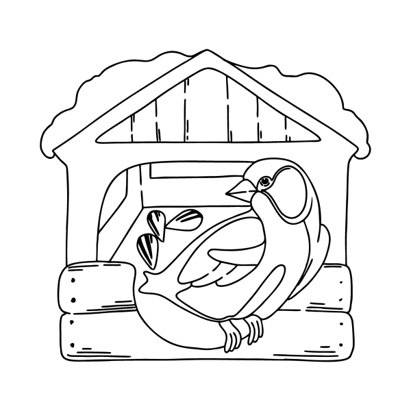 Кормушка раскраска