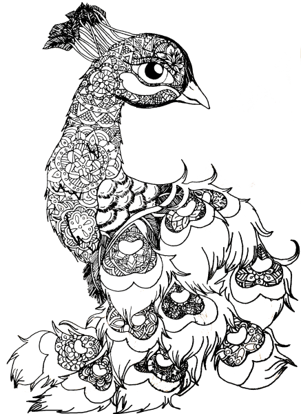 Птицы. Раскраска