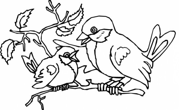 Раскраски птицы пермского края (43 фото)