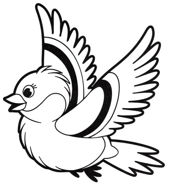 Птичка раскраска