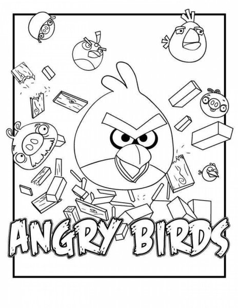 Angry Birds раскраска