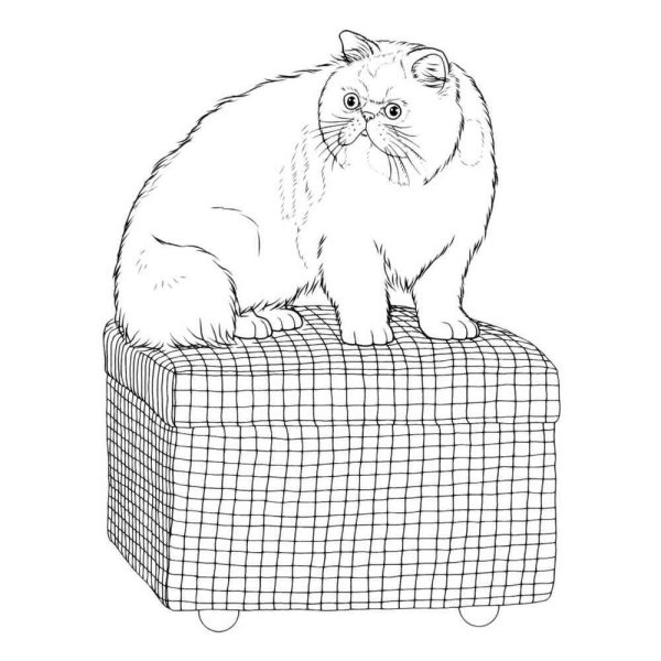 Кот пуфик раскраска