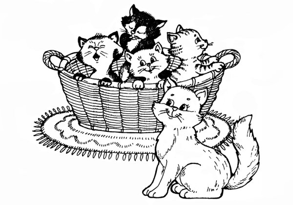 Раскраска котики в корзинке