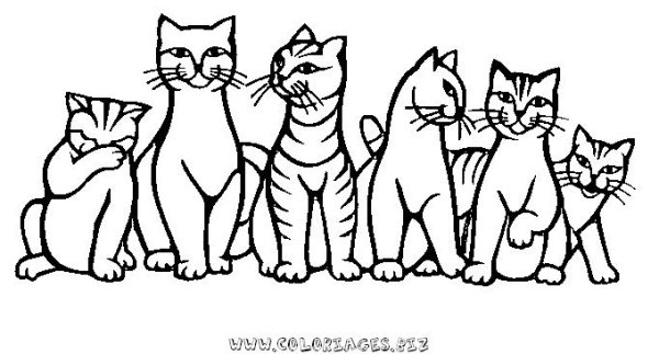 Раскраска Кошачья семья