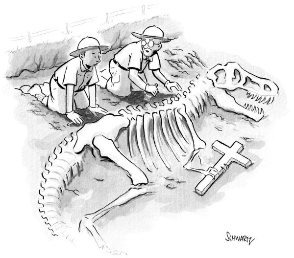 Археолог карикатура