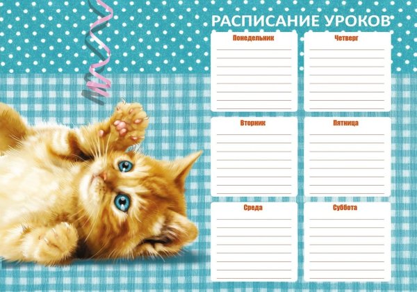 Расписание уроков с котятами