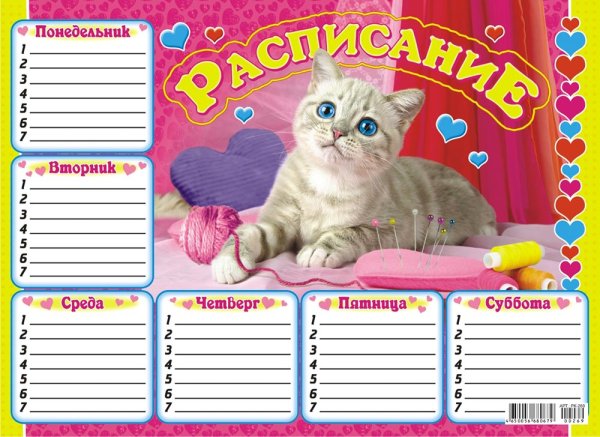 Расписание уроков с котятами