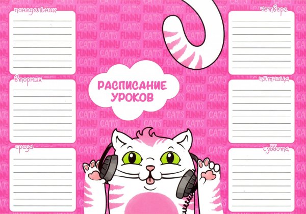 Расписание уроков "кошки"