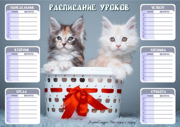 Расписание уроков