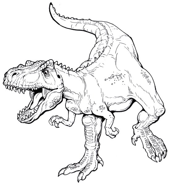 Раскраски реалистичные динозавры (46 фото)