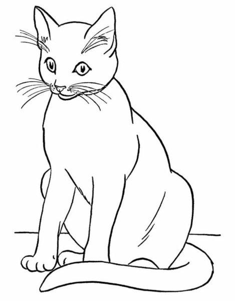 Котенок. Раскраска