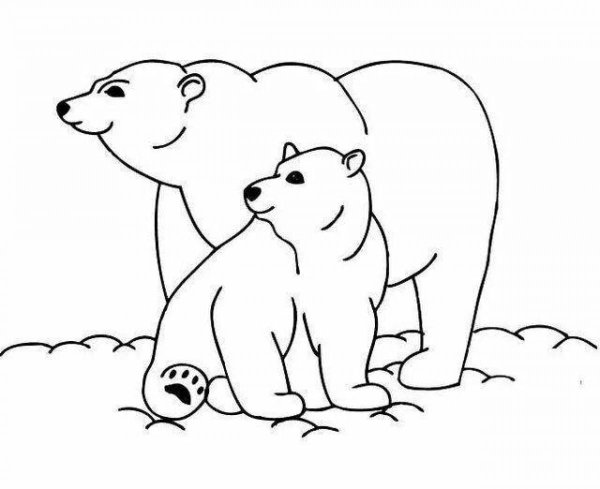 Раскраски северный медведь (38 фото)