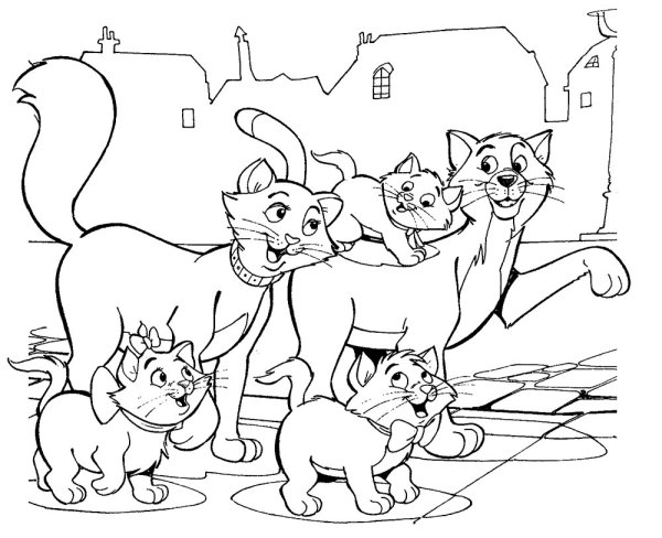 Раскраски семейка котиков (42 фото)