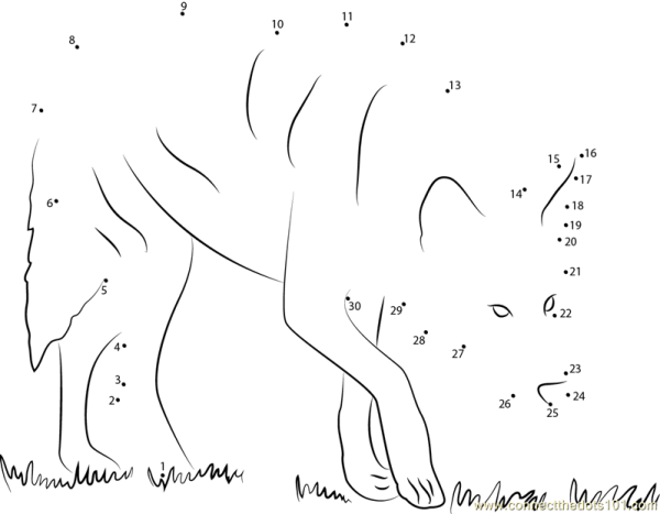 Раскраски серый волк по номерам (46 фото)