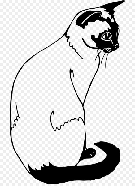 Сиамская кошка раскраска