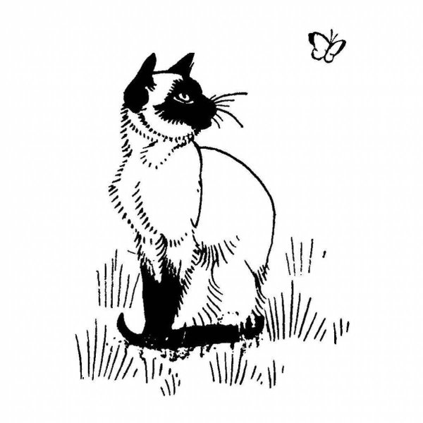 Раскраски сиамская кошка с котятами (49 фото)