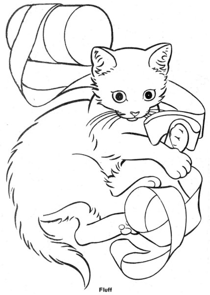 Раскраски маленький котёнок живой