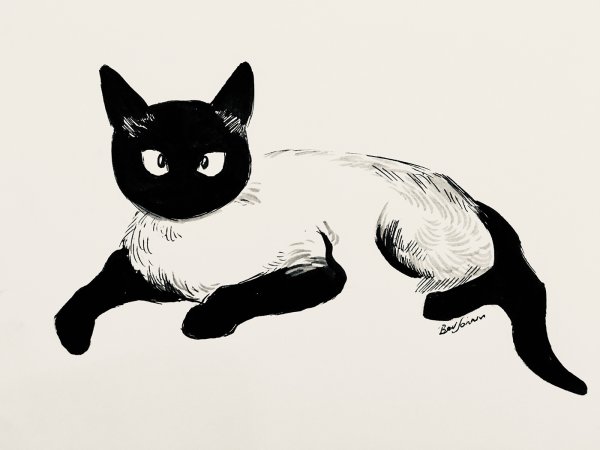 Сиамская кошка вектор