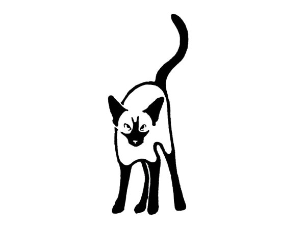 Сиамский кот эскиз
