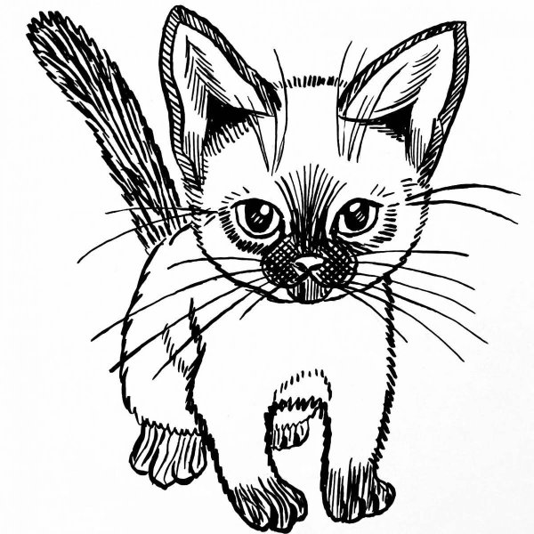 Кошка рисунок ручкой