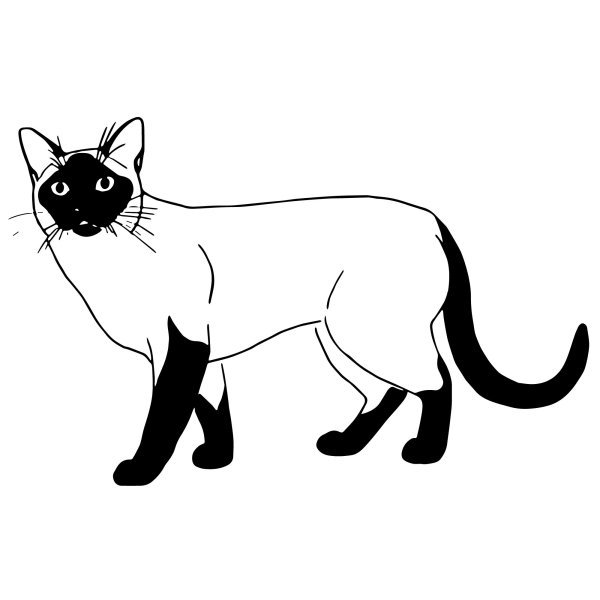 Силуэт сиамской кошки