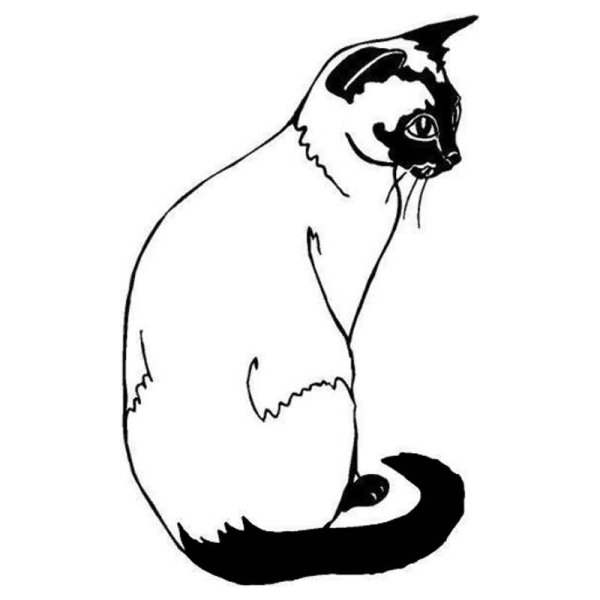 Сиамская кошка рисунок