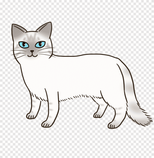 Сиамский кот раскраска