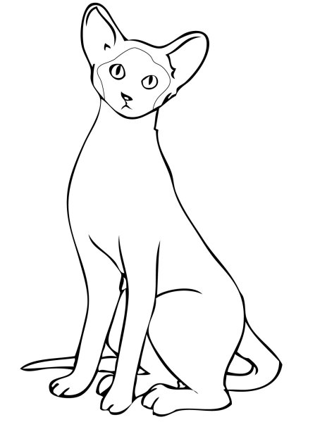 Кошки. Раскраска