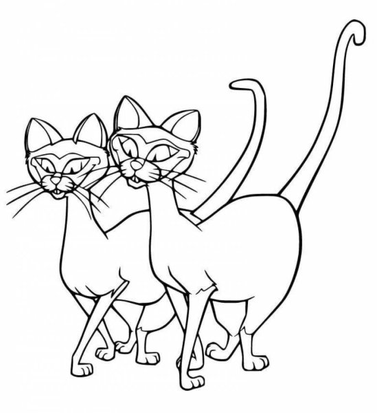 Сиамская кошка раскраска