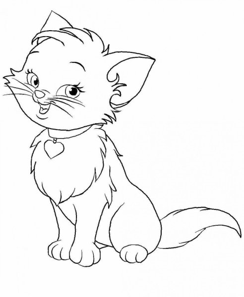 Котенок. Раскраска