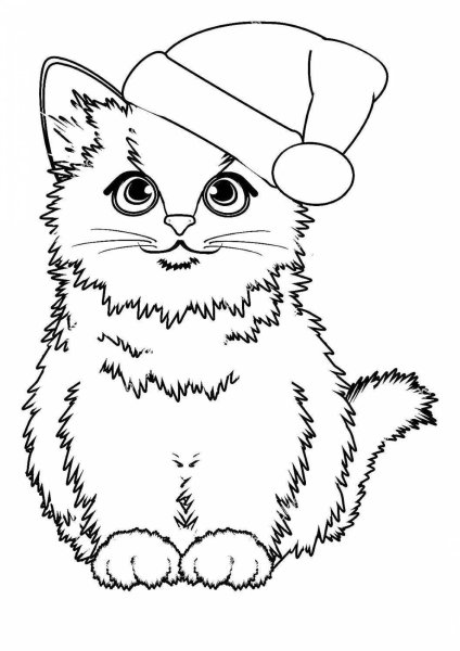 Котенок в шапке раскраска