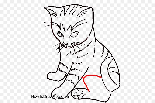 Котенок сидит рисунок