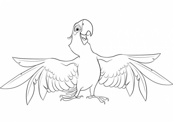 Голубчик из Рио раскраска
