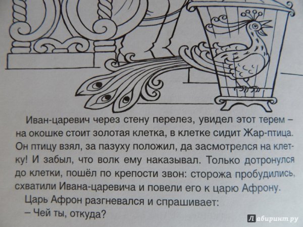 Жар птица раскраска из Ивана царевича и серого волка