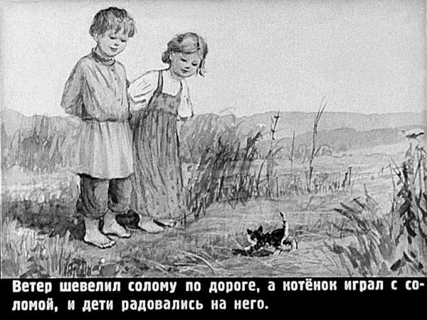 Произведения л н Толстого котенок