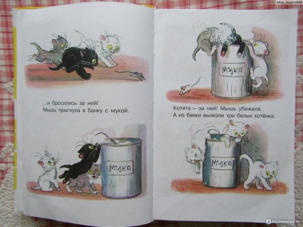 Сутеев в.г. "три котенка"