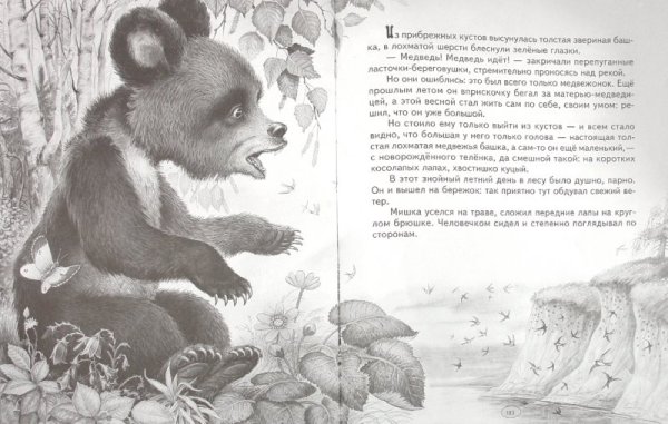 Николай Сладков медведь-дармоед
