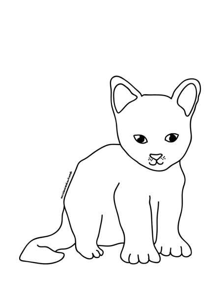 Раскраска сиамский котенок