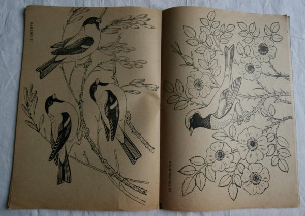 Книжка раскраска птицы