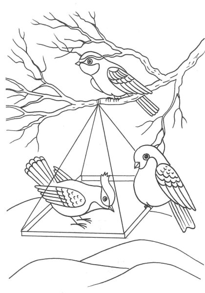 Раскраски советские птицы (49 фото)