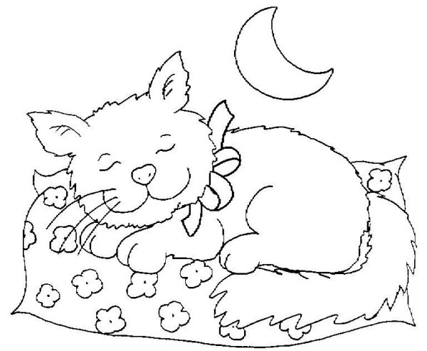 Кошка спит раскраска