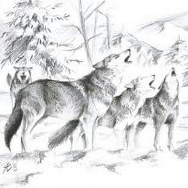 Стая Волков Графика