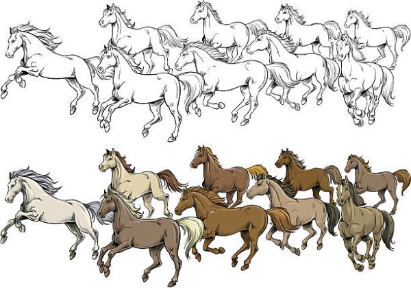 Табун лошадей раскраска