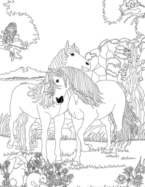 Табун лошадей раскраска