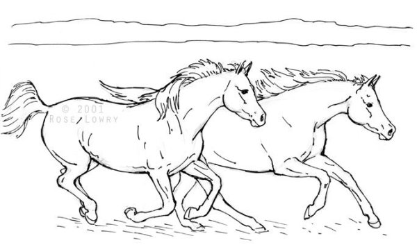 Раскраска две лошади