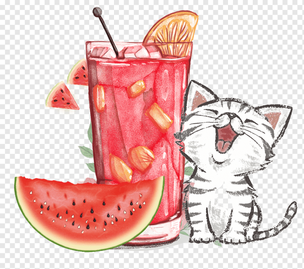Кот с коктейлем