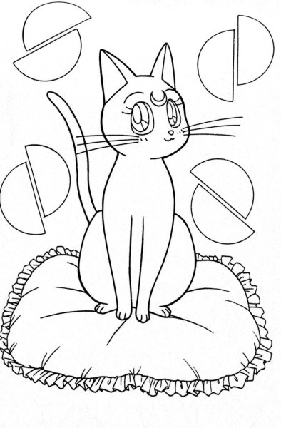 Котенок с бабочкой раскраска