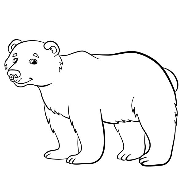 Медведь раскраска мультяшный