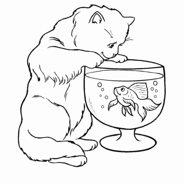Раскрасить кота с рыбой копилки