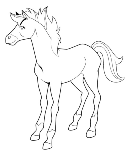 Horseland раскраски
